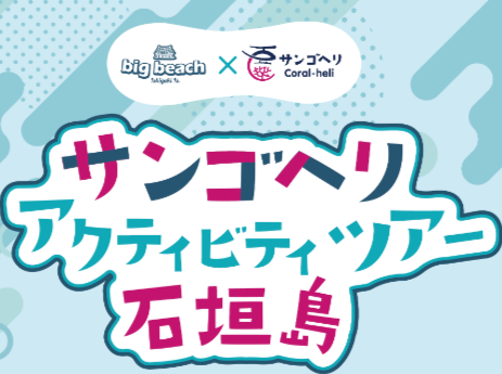 ヘリ&ウミガメシュノーケルHalf Day