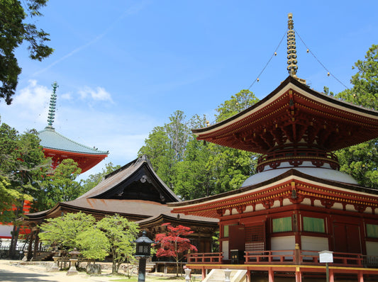 京都⇄高野山 ヘリタクシー