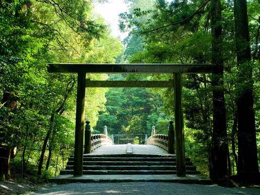 京都⇄伊勢神宮ヘリタクシー
