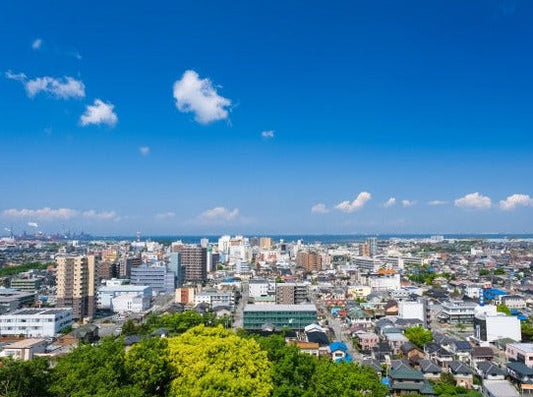 東京⇄成田空港 ヘリタクシー