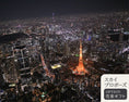 Gallery viewerに画像を読み込む, 【スカイプロポーズ】Wタワーコース