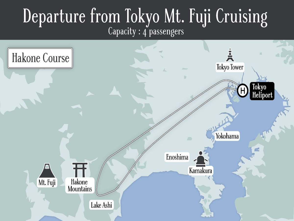 富士山クルージング【箱根遊覧コース 75分】