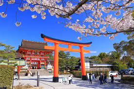 【京都】京社寺巡りコース（空のお花見 20分）
