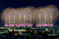 Load image into Gallery viewer, [8/2 & 8/3 Only] Night View Sightseeing Flight (Nagaoka – Shinano River Course – 60 min)
