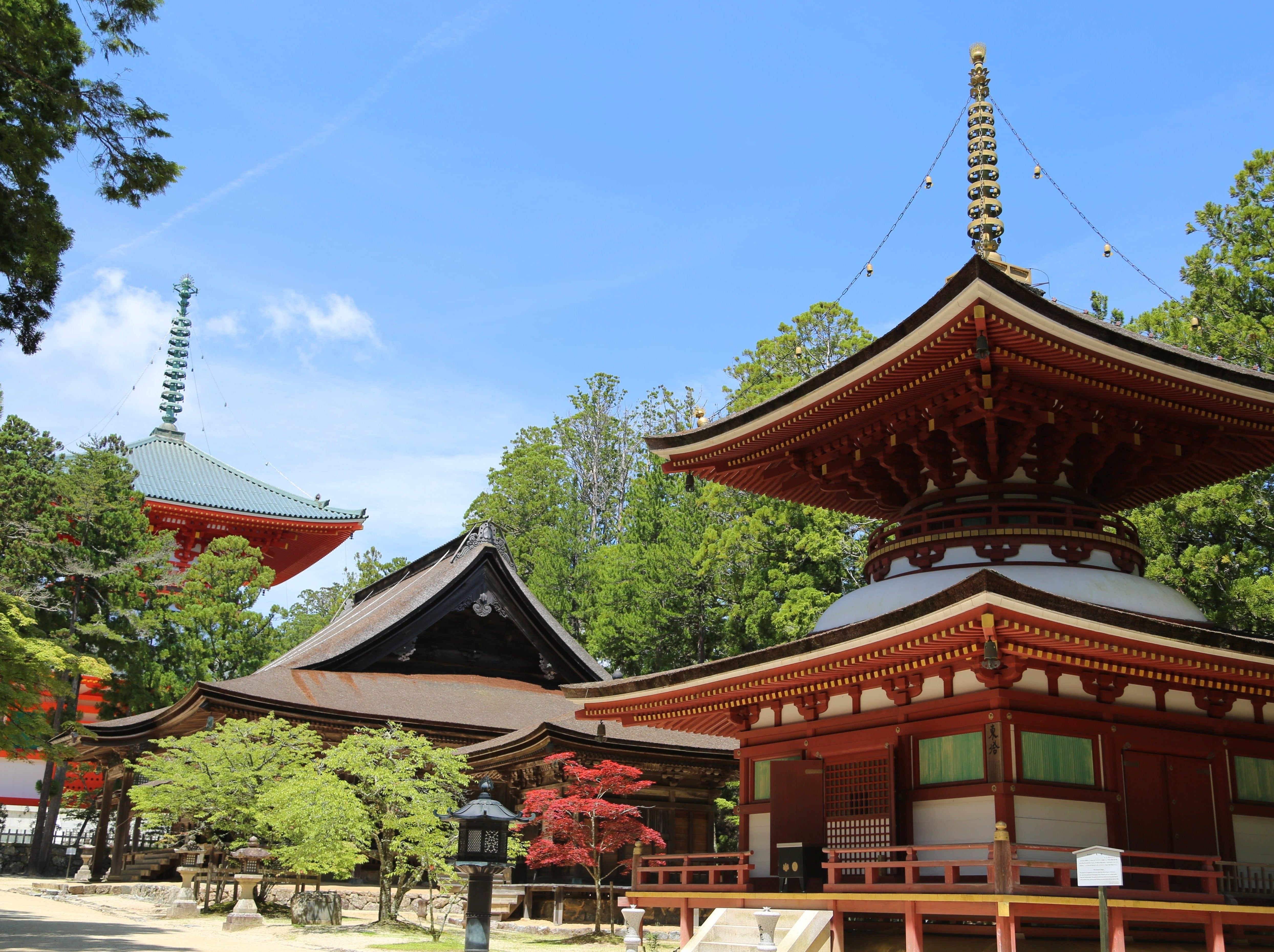 virtual trip 高野山 凸版印刷、機能強化したVRで高野山周遊観光促進 | 凸版印刷