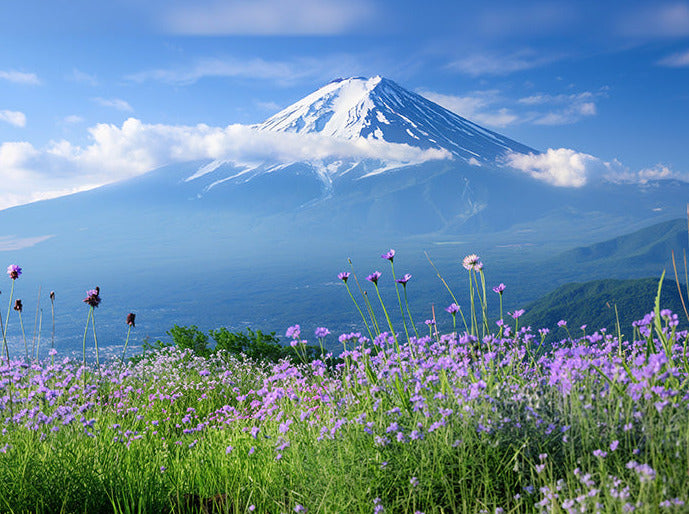 Tokyo ⇄ Fuji Oshino Heli-Taxi (Lunch Included)