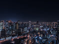 Load image into Gallery viewer, Osaka night view and Kyoto night view tour course
