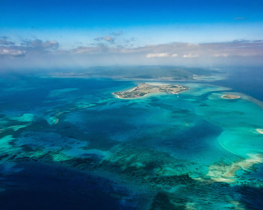 Ishigaki Island 【Coral Crown 10 minutes】