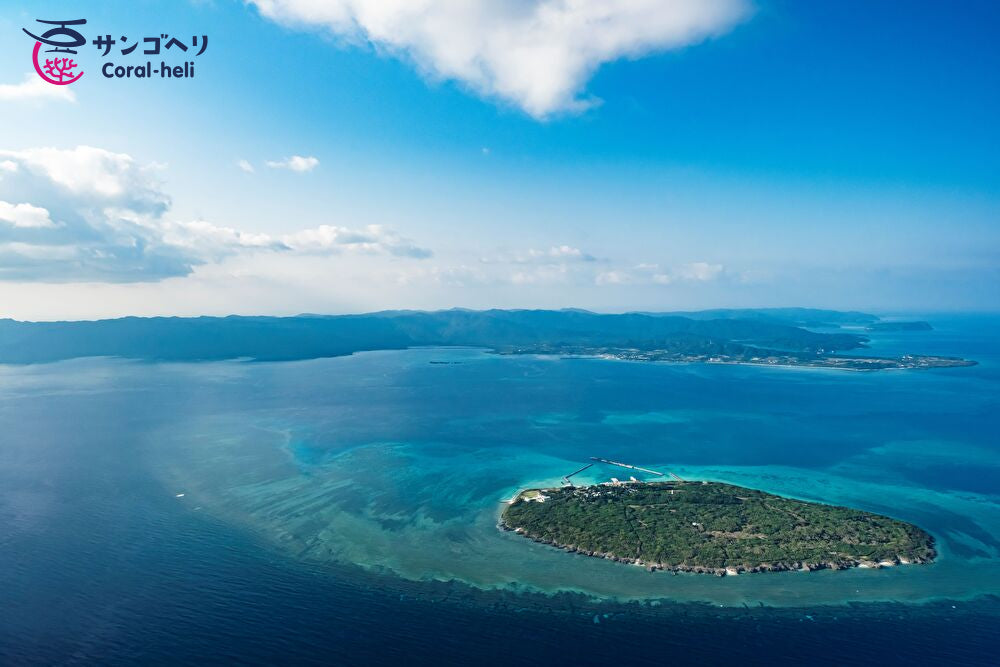 ★予約早割★12月31日、1月1～3日【石垣島】八重山まるごとプラン（60分）年末年始特別価格【サンゴヘリ】