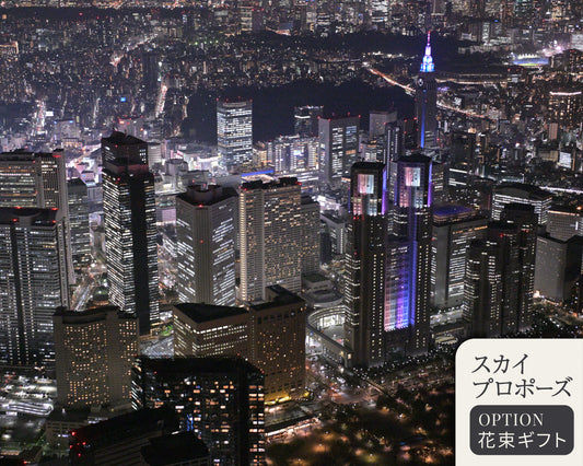 【スカイプロポーズ】東京プレミアムクルーズ