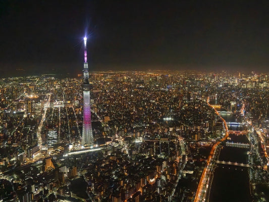 東京&横浜コース