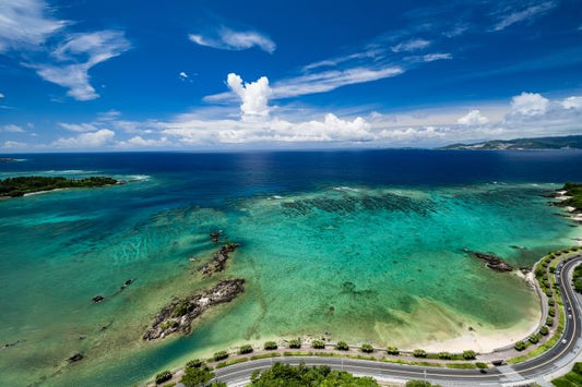 [Okinawa] Churaumi Ocean Course